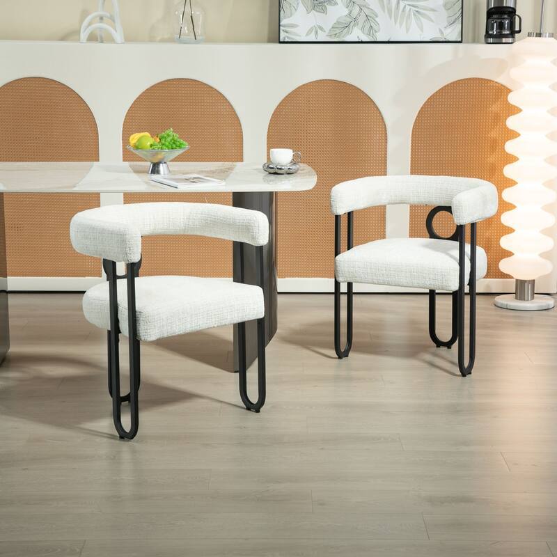 Mid Century Style Dining Chair Set of 2