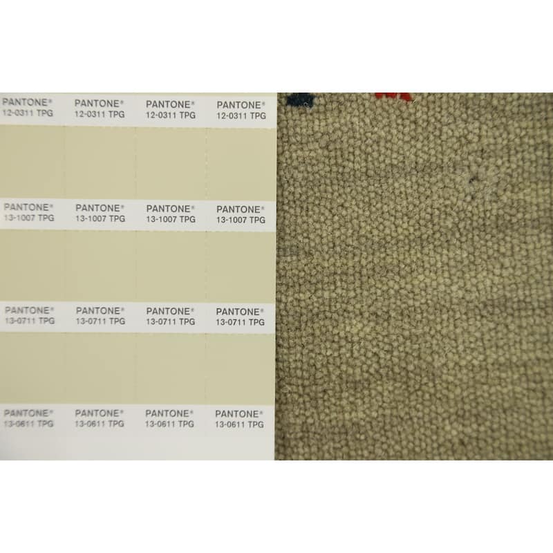 Hand Knotted Oriental 100% Wool Carpet Tribal Animal Pictorial Beige & Ivories Gabbeh Area Rug - 3' 0'' X 2' 0''