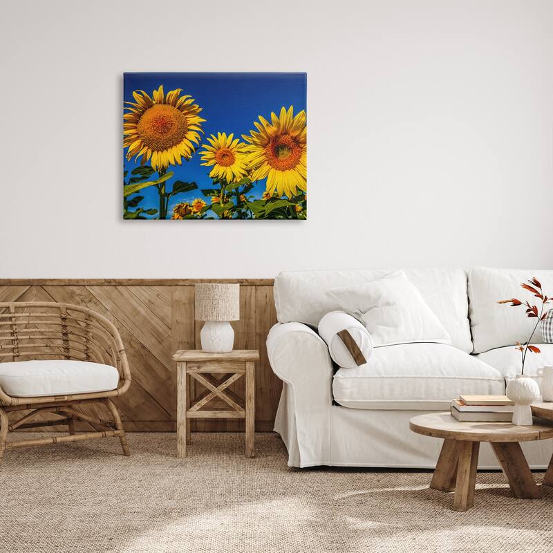 Stupell Bold Sunflower Plants Against Clear Sunny Sky Canvas Wall Art ...