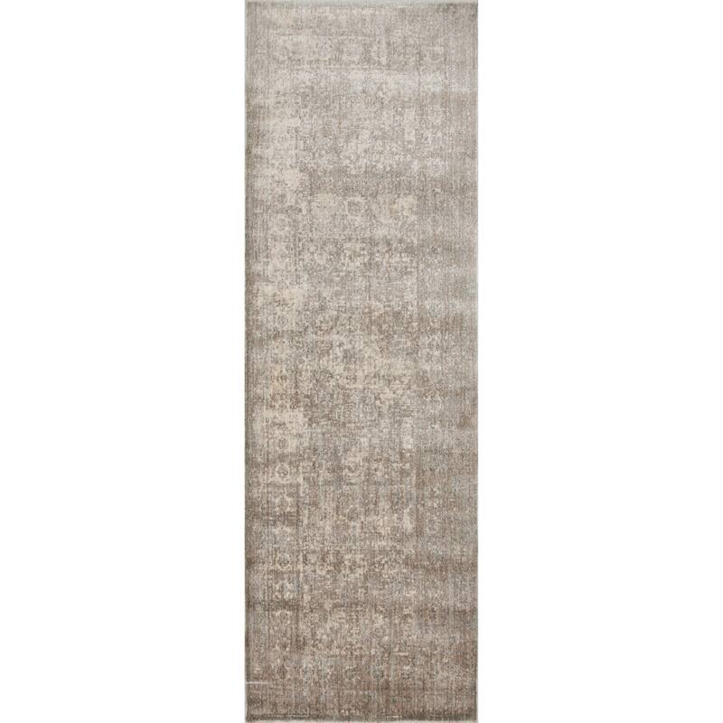 Alexander Home Contessa Traditional Medallion Distressed Rug
