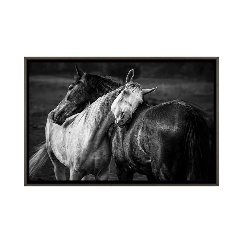 iCanvas "Warm Rain" by Niko Chapa Framed - Charcoal - 32x48