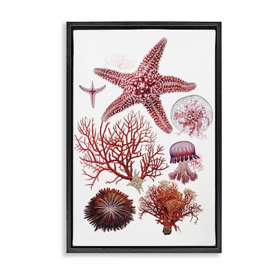 Stupell Rosy Undersea Creatures Framed Floater Canvas Wall Art Design By Ramona Murdock