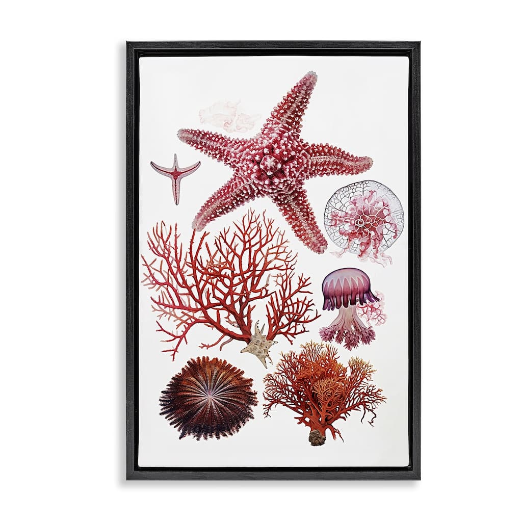 Stupell Rosy Undersea Creatures Framed Floater Canvas Wall Art Design By Ramona Murdock