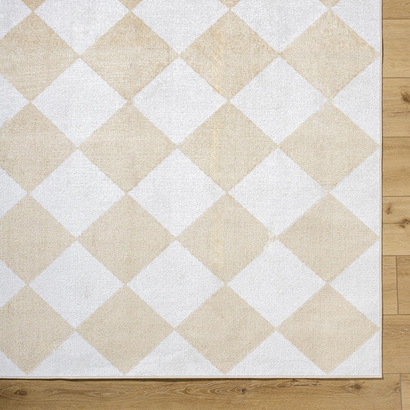 Livabliss Lillian Modern & Contemporary Checkered Indoor/Outdoor Area Rug