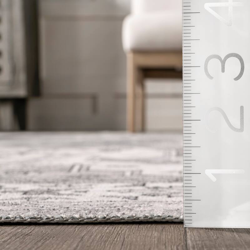 Nuloom Astra SplashGuard Traditional Machine Washable Area Rug