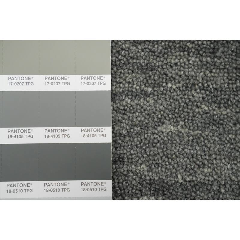 Hand Knotted Oriental 100% Wool Carpet Tribal Animal Pictorial Greys & Charcoal Gabbeh Area Rug - 4' 10'' X 3' 0''