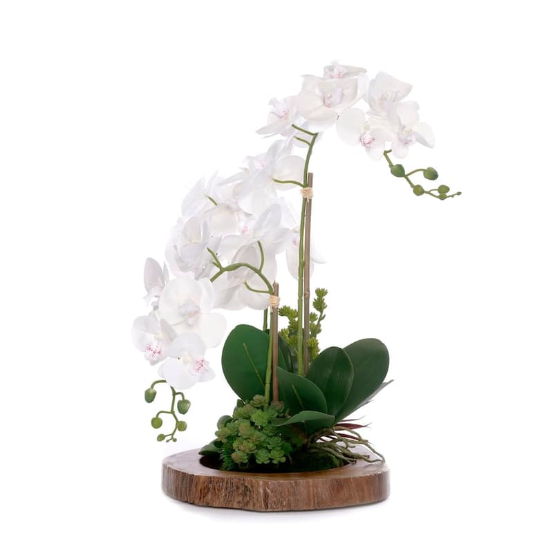 Real Touch Orchid with Arrangement in Mirror Teak Wood Bowl - white