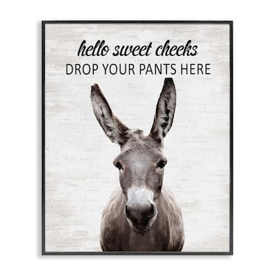 Stupell Drop Pants Here Funny Laundry Framed Giclee Art Design By Lettered and Lined