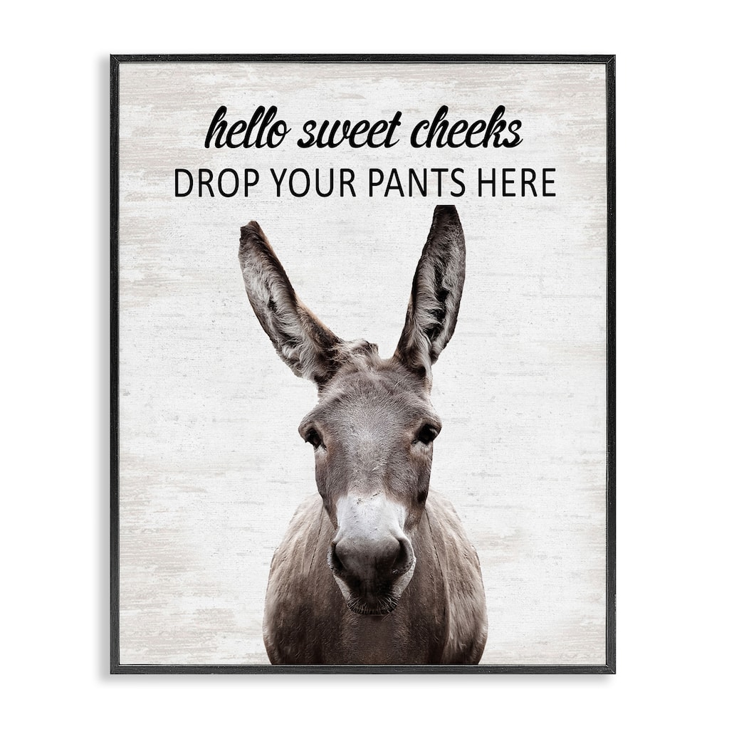 Stupell Drop Pants Here Funny Laundry Framed Giclee Art Design By Lettered and Lined