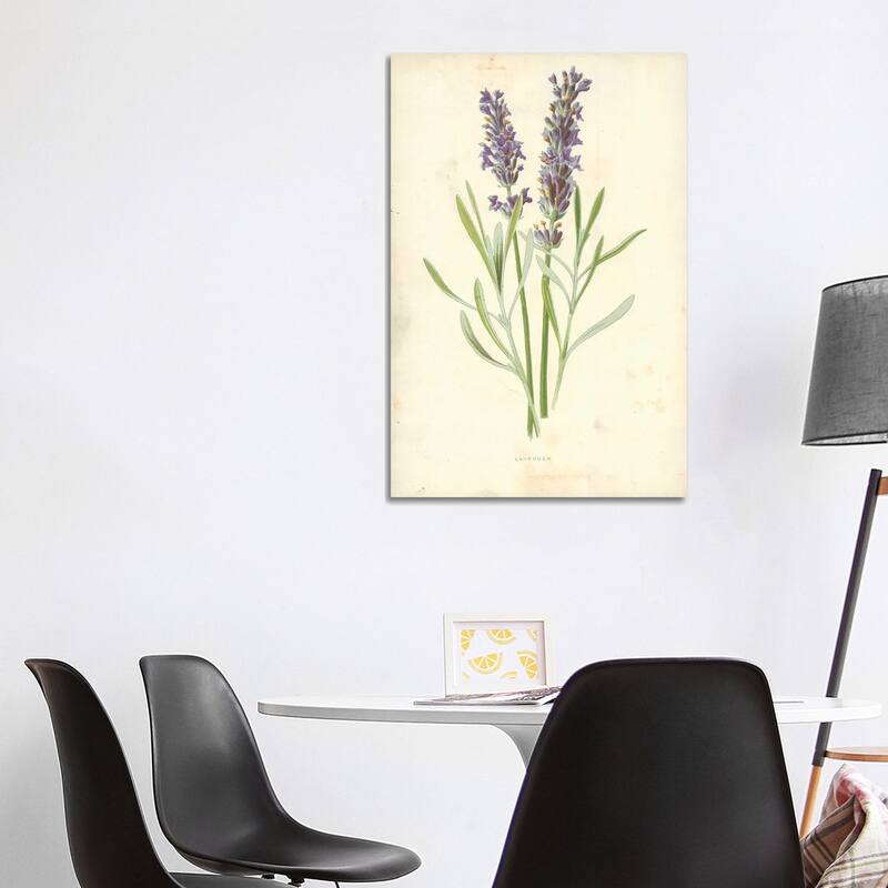 iCanvas "Lavender (Illustration From Familiar Garden Flowers, 1st Series)" by Frederick Edward Hulme Canvas Print - 40x26x1.5