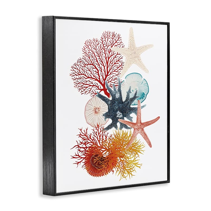 Stupell Coral & Undersea Creatures Framed Giclee Art Design By Ramona Murdock
