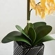 preview thumbnail 10 of 19, Synthetic Two Stem Orchid