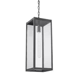Clear Glass Outdoor 22" High Hanging Black Aluminum Light