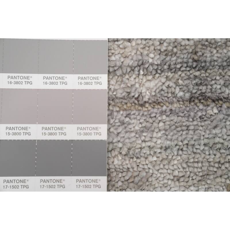 Hand Knotted Oriental Viscose Silk Carpet Tribal Animal Pictorial Greys & Charcoal Gabbeh Area Rug - 11' 8'' X 4' 10''
