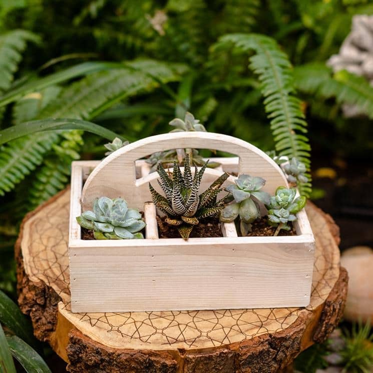 RusticReach Wooden Desktop Organizer Succulent Planter