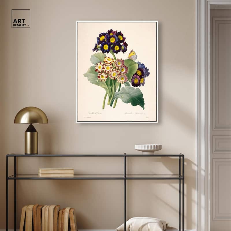 Auricula Varieties Canvas by Art Remedy
