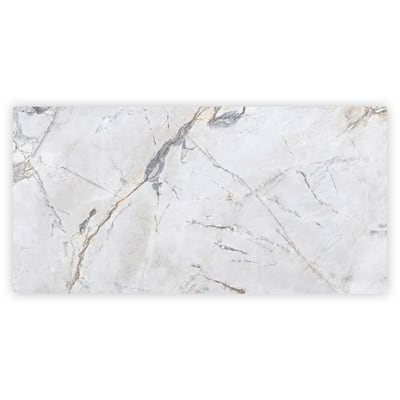 Apollo tile 24" x 48" Splendor Polished Pale Gray Porcelain Tile (15.5 sq ft/case) - 2 Pack