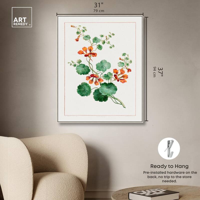 Nasturtium (1788) Canvas by Art Remedy