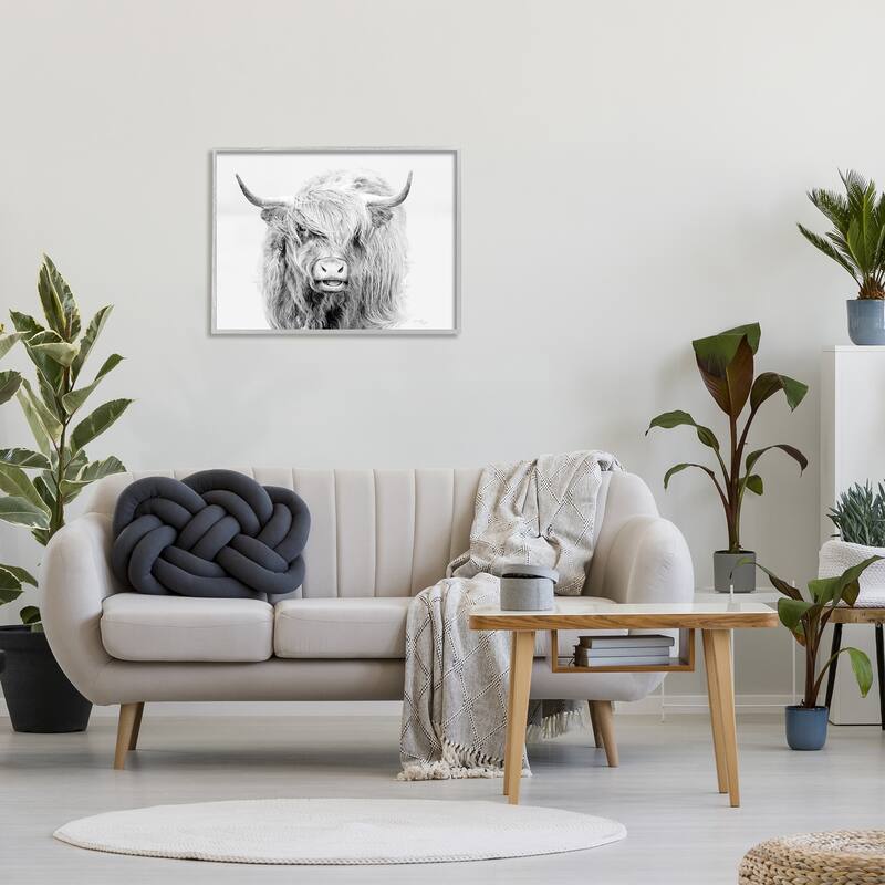 Stupell Expressive Highland Cattle Monochrome Animal Portrait Framed Wall Art, Design by Jennifer Pugh