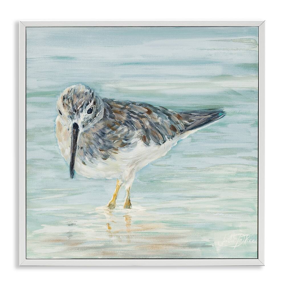 Stupell Nautical Sandpiper Shallow Beach Waters Traditional Bird Framed Wall Art
