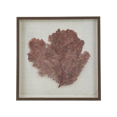 Sea Fan Framed Wall Decor - Pink/Beige
