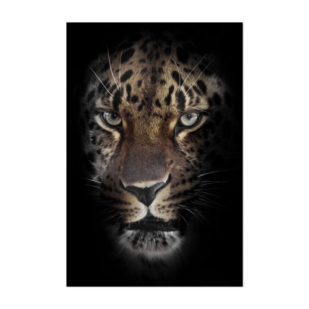 Night with faint colors leopard muzzle Photography Art Print/Poster