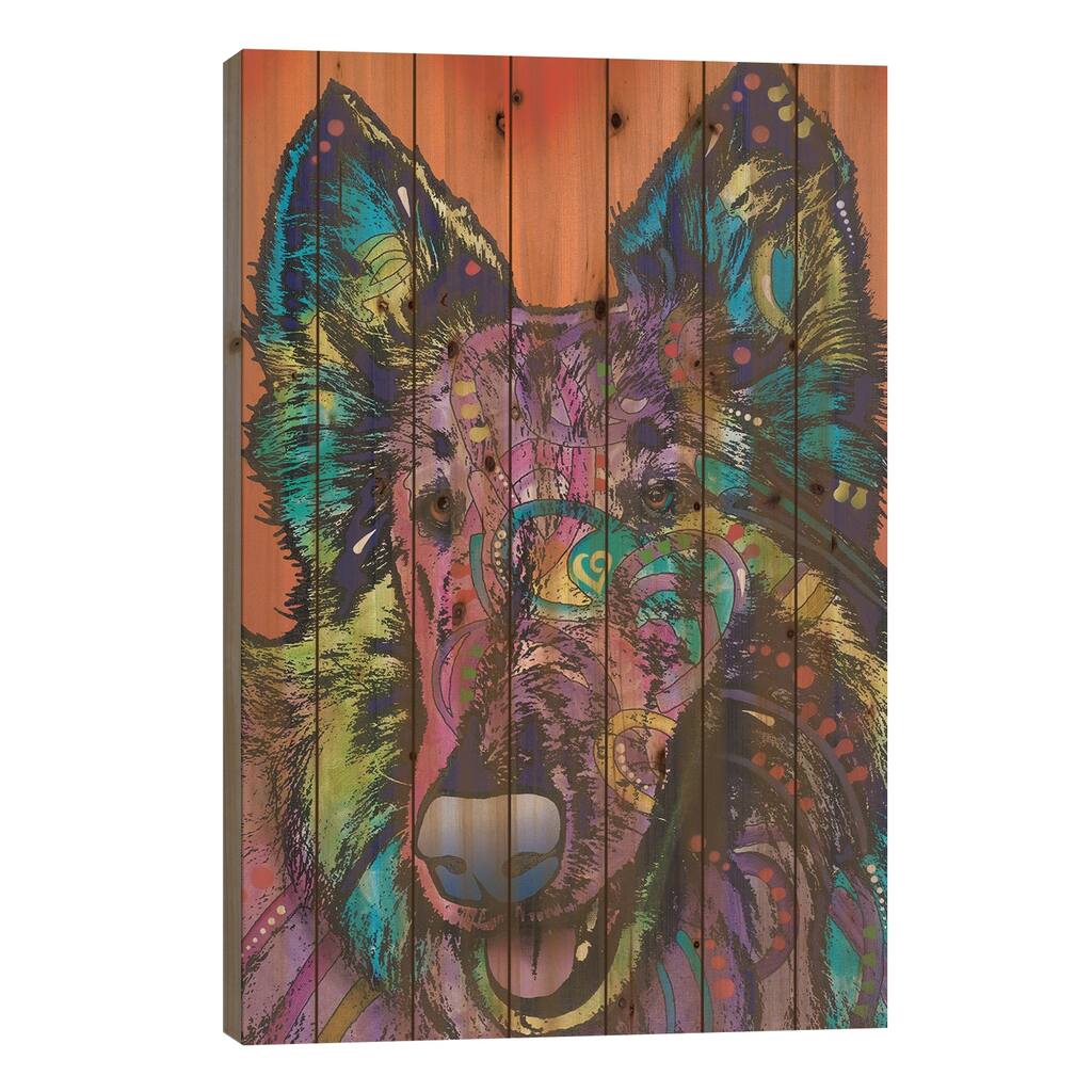Ava, Collie Print On Wood by Dean Russo - Multi-Color