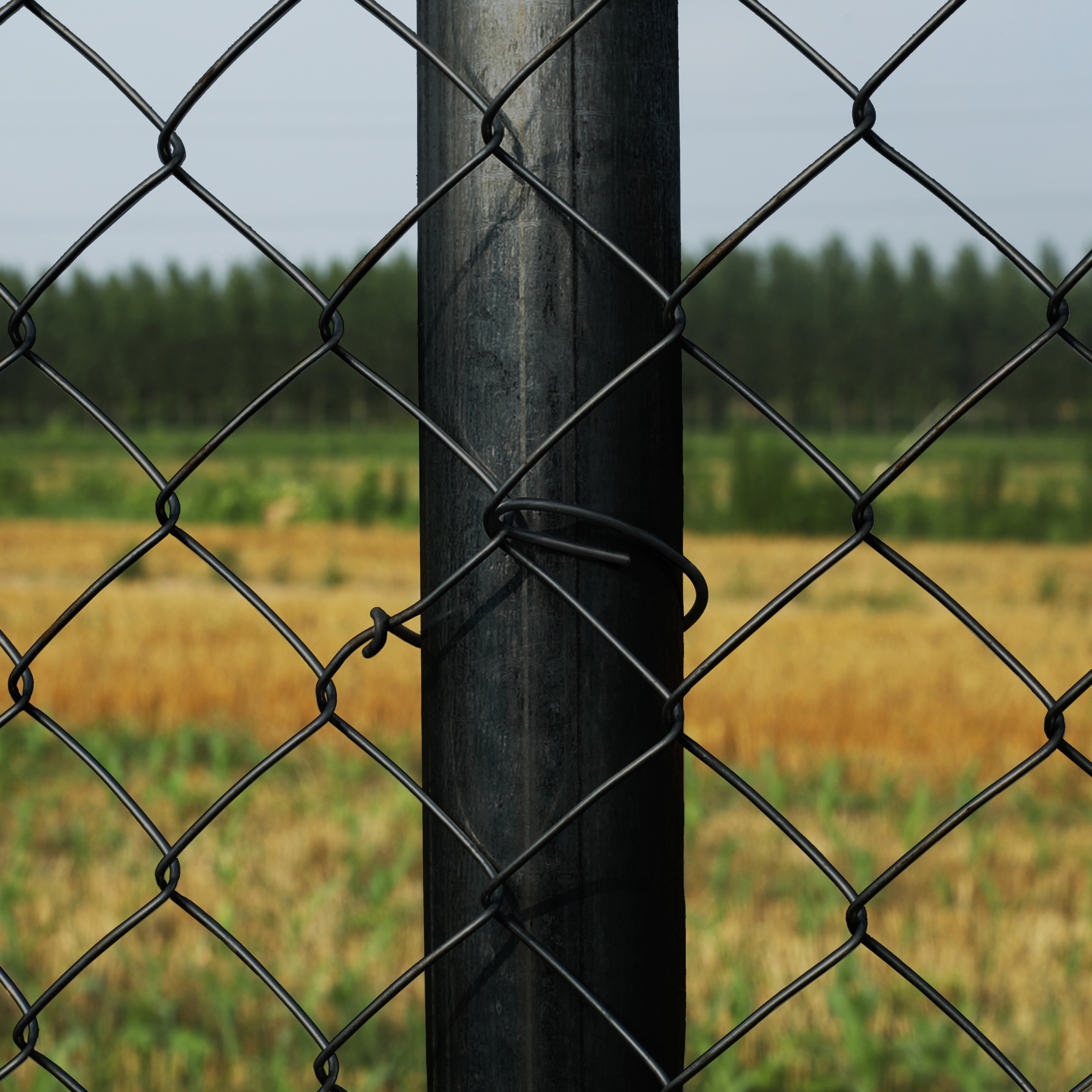 ALEKO 6 x 50 feet PVC Coated Galvanized Steel Chain Link Fence Black Fabric  - On Sale - Overstock - 34129378
