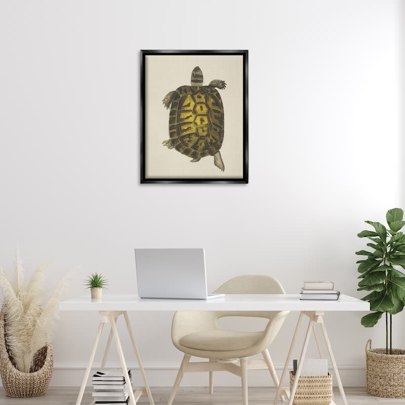 Stupell Vintage Maritime Tortoise Framed Floater Canvas Wall Art Design By Phillipa Katz