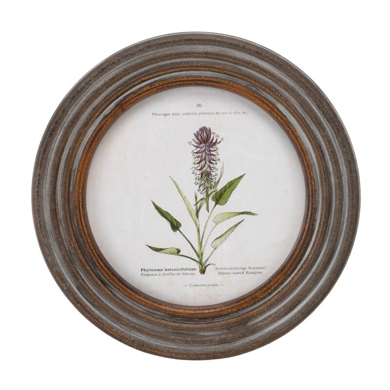 Round Framed Floral Print (Set of 6)