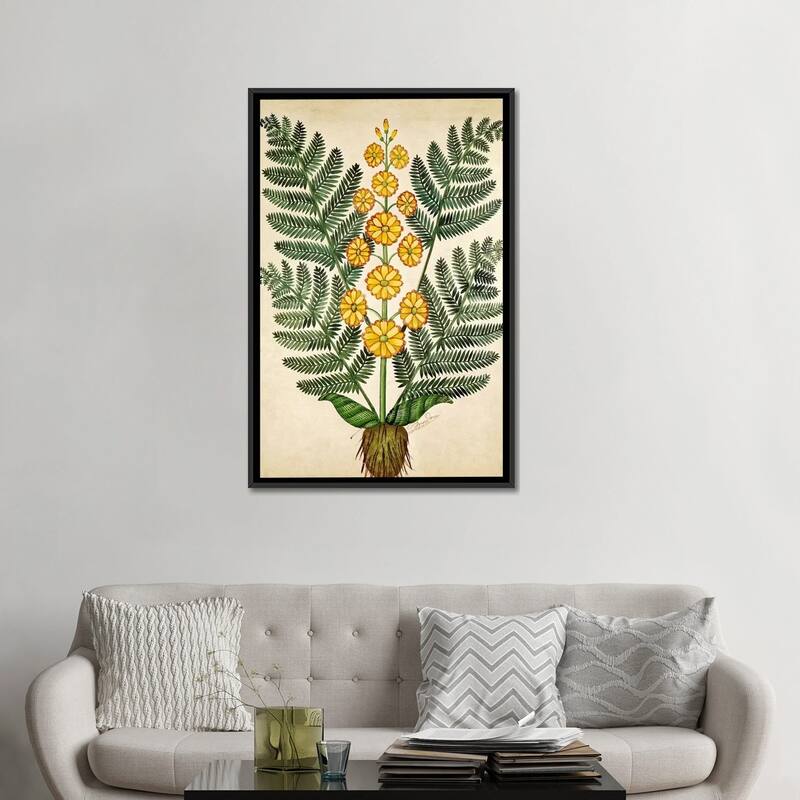 iCanvas "Fern with yellow flowers, plate from a seed merchants in Oisans " by French School Framed