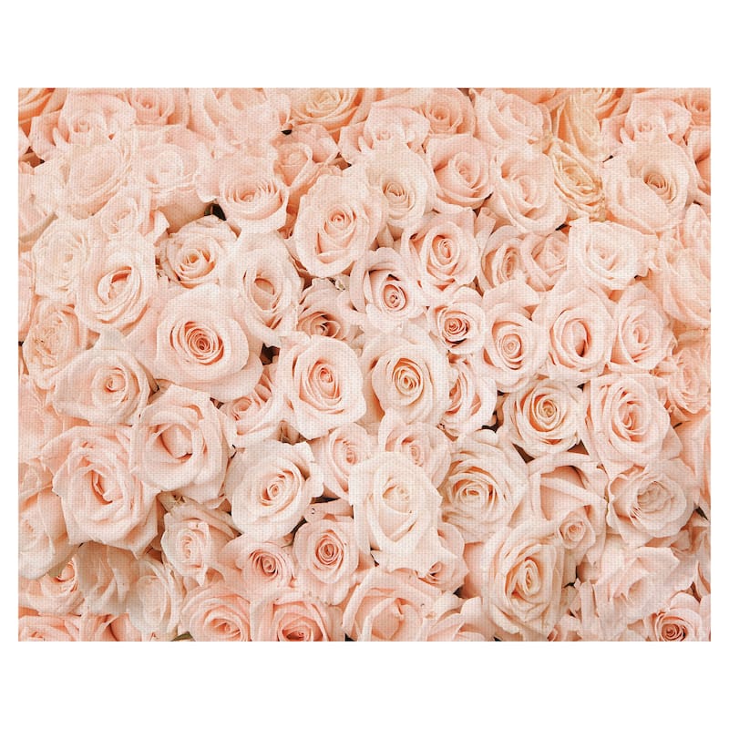 Bed of Roses by Belle Maison Canvas Art Print