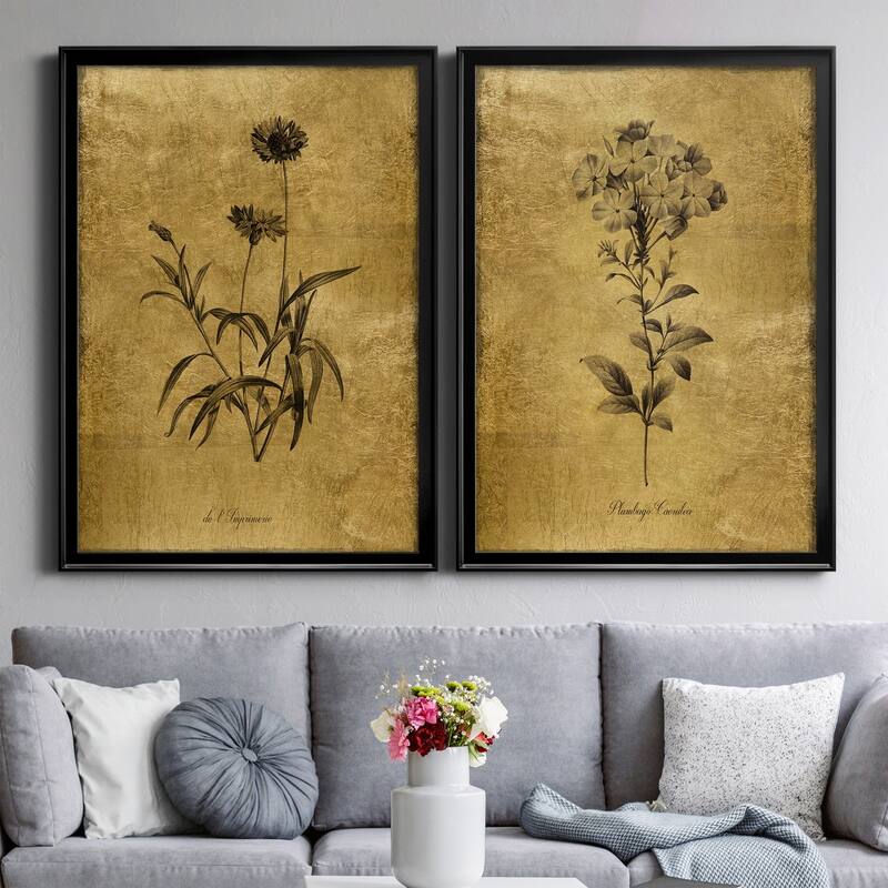 Gold Sketch Botanical I Premium Framed Print - Ready to Hang - Multi-Color