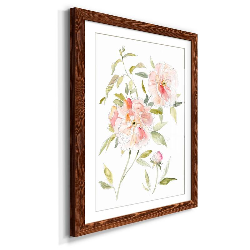 Sketchbook Cottage Rose II-Premium Framed Print - Ready to Hang