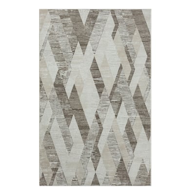 Teji Geometric Area Rug By HomeRoots - 4' x 6'