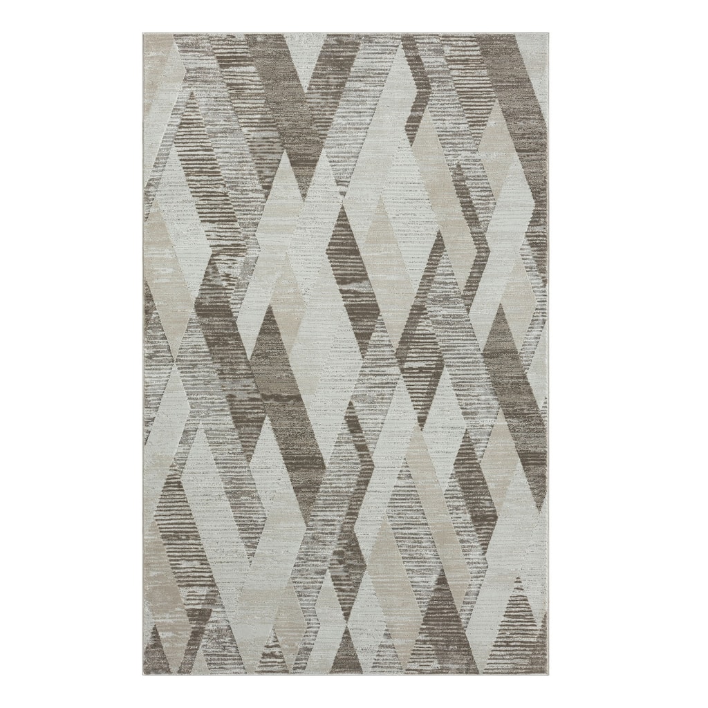 Teji Geometric Area Rug By HomeRoots - 4' x 6'