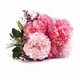 preview thumbnail 2 of 6, Enova Home 7 Heads Pink Mixed Artificial Silk Dahlia Fake Flowers Arrangement in Glass Vase with Faux Water for Home Decor