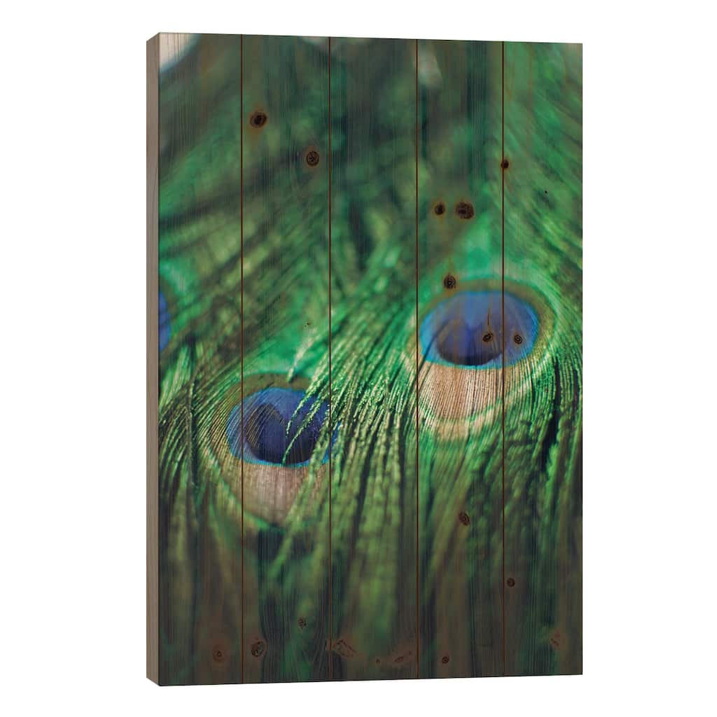 Peacock Feathers II Print On Wood by Chelsea Victoria - Multi-Color