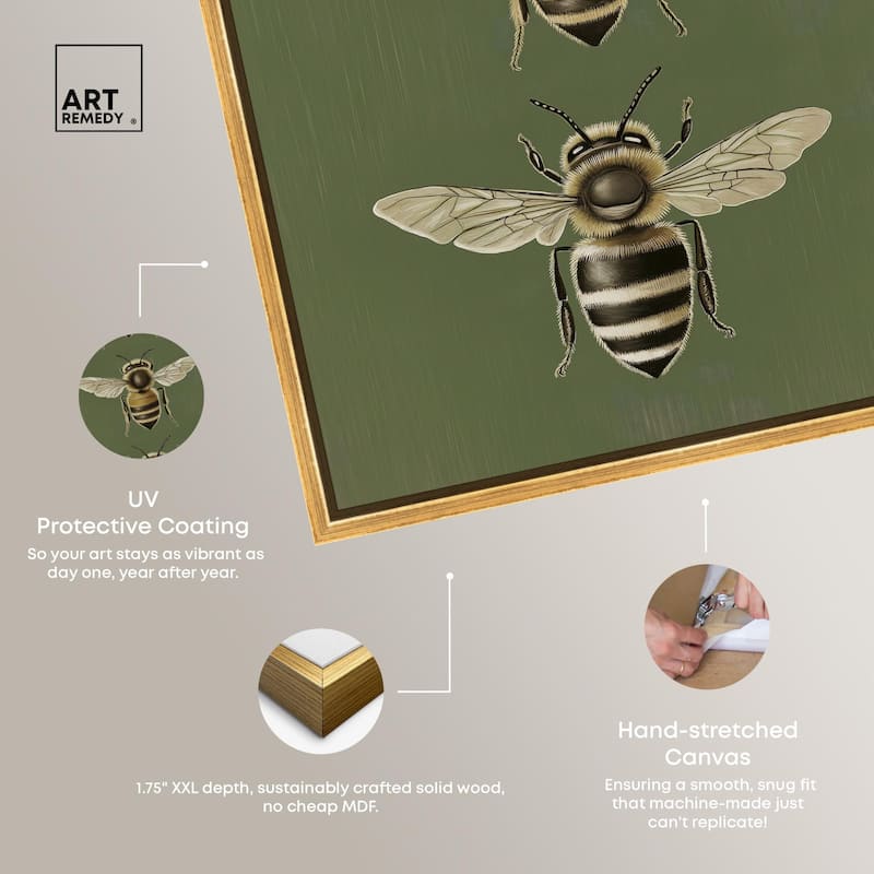 Anatomy of the Bee Canvas by Art Remedy