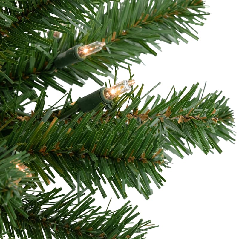 28" Pre-Lit Dorchester Pine Artificial Christmas Swag Clear Lights