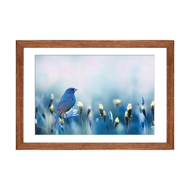 iCanvas "Indigo Bunting Spring" by Laura D Young - Walnut - 24x32x1