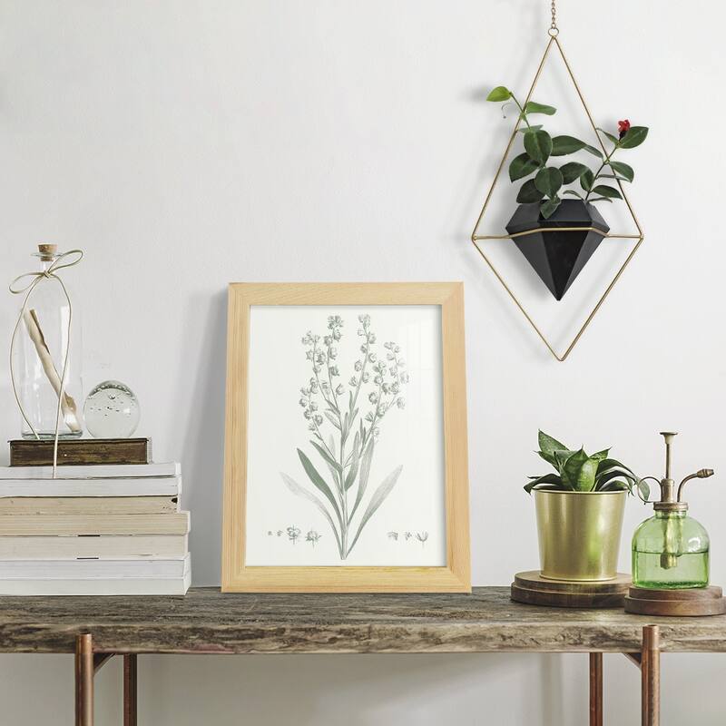 Botanical Study in Sage I -Framed Print w/glass-Cherry Red