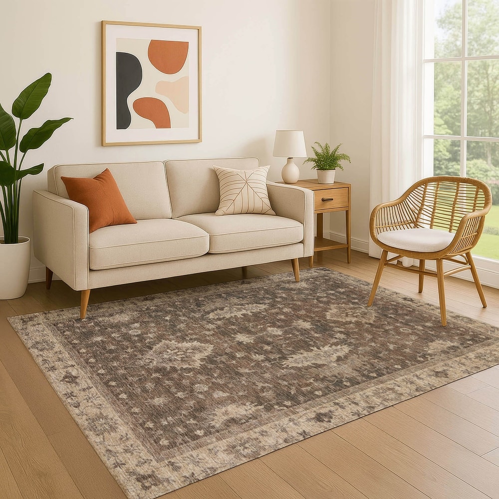 Premium Washable Super Soft Traditional Mayfield Rug