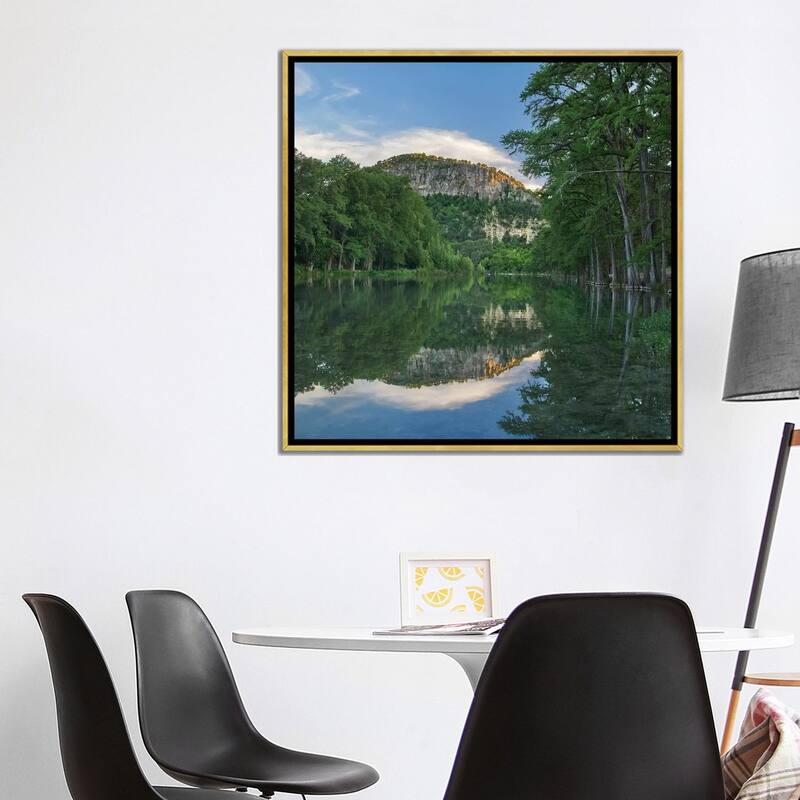 iCanvas "Bald Cypress Trees, Frio River, Old Baldy Mountain, Garner State Park, Texas" by Tim Fitzharris Framed Canvas Print