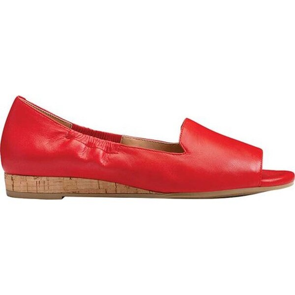 aerosoles tidbit