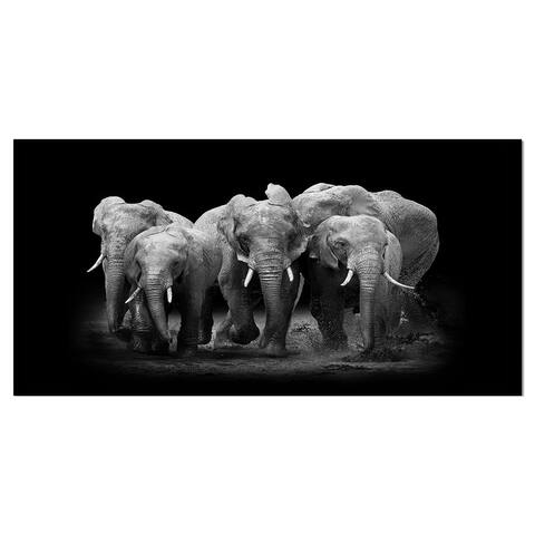 Designart 'Group of Elephant on dark' Africa Animals Photography on Wrapped Canvas