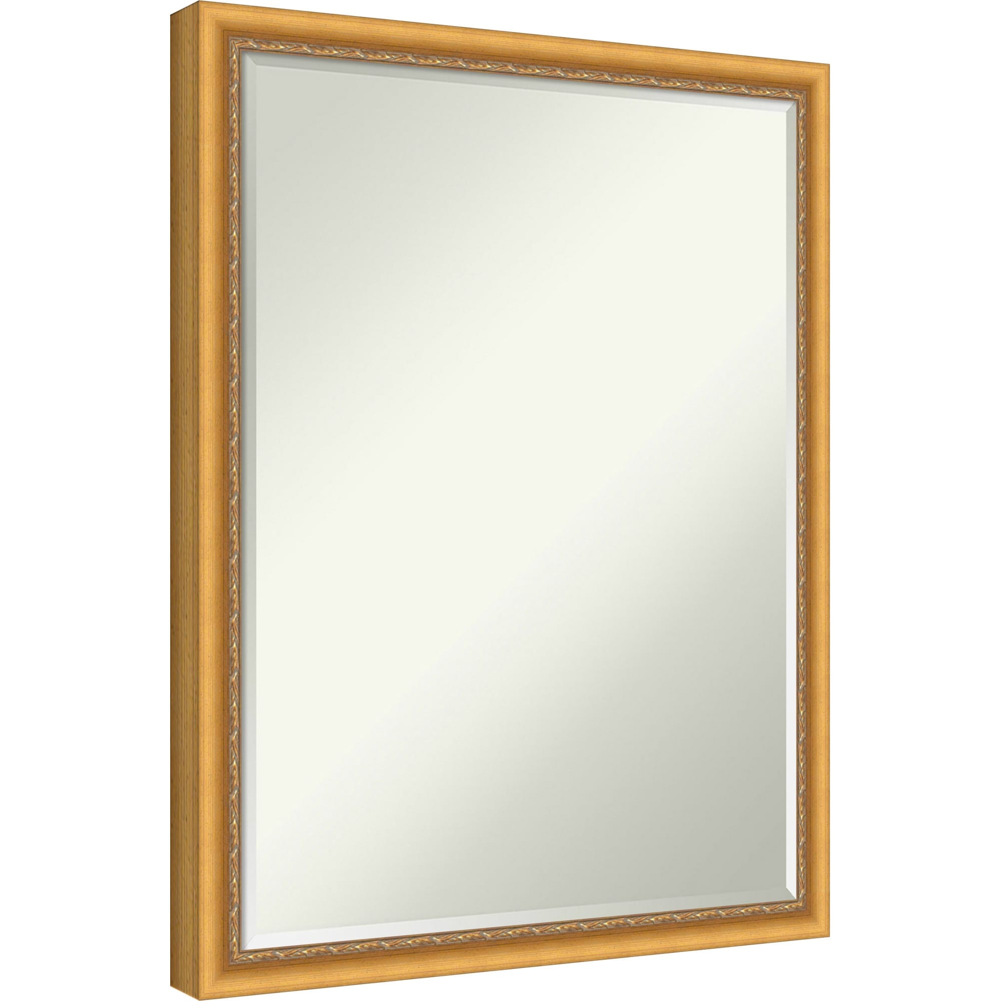 Belmont Rope Gold Half-Inch-Bevel Wood Framed Wall Mirror - 20 x 26 in