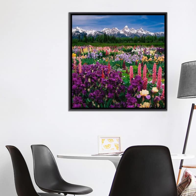 iCanvas "Iris & Lupine Field, Grand Teton National Park, Teton County, Wyoming, USA" by Adam Jones Framed