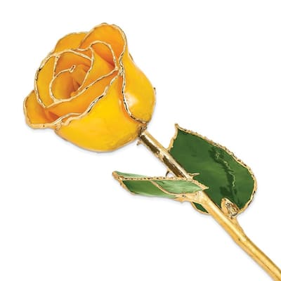Curata Lacquer Dipped Gold Trimmed Saffron Real Rose