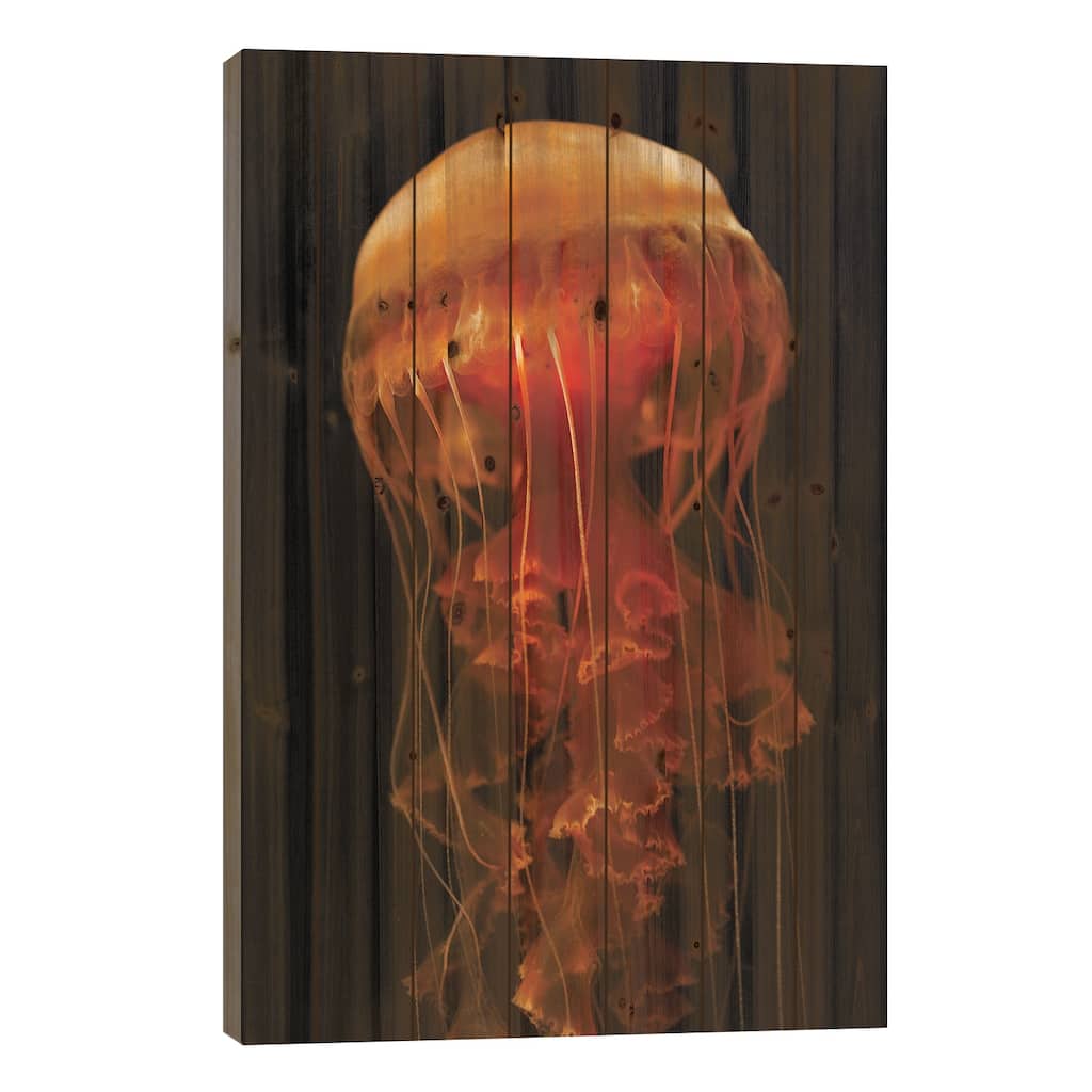Black Sea Nettle Spreading Tentacles, Aquarium, Japan Print On Wood by Hiroya Minakuchi - Multi-Color
